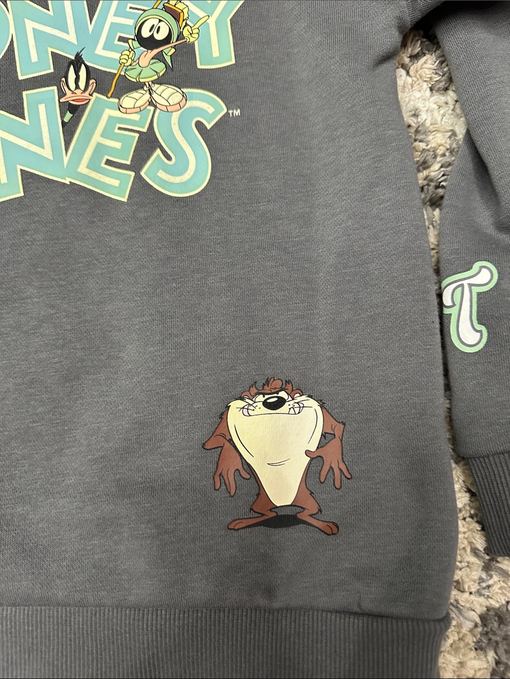 Looney Tunes Bugs Bunny Charcoal Kids Hooded Sweatshirt Kid’s sz. 7-8 - Picture 9 of 11